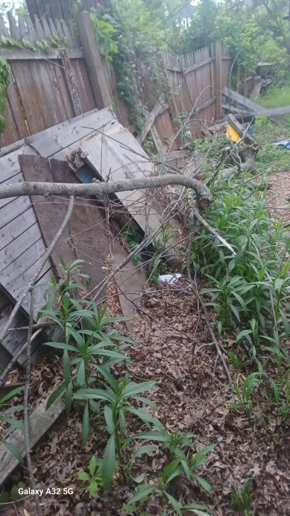Before photo: cluttered outdoor workspace with wooden platform, tools, and debris cleared by Connecticut Heavy Hauling LLC